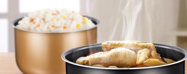电压力锅排名前十,电压力锅排名前十名的品牌