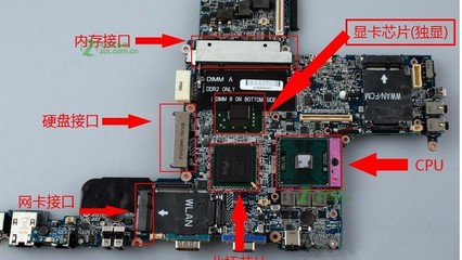 电脑显卡主要起什么作用,电脑主机里哪个是显卡