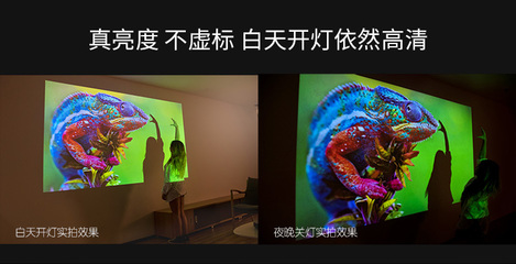 坚果g3参数,坚果g3什么时候上市