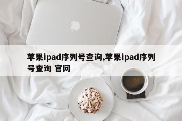 苹果ipad序列号查询,苹果ipad序列号查询 官网