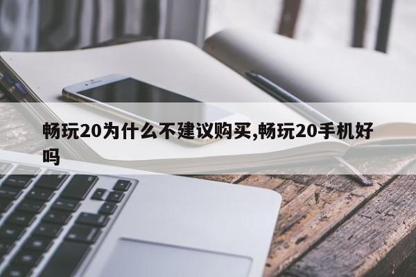 畅玩20为什么不建议购买,畅玩20手机好吗