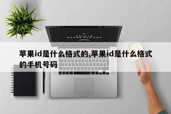 苹果id是什么格式的,苹果id是什么格式的手机号码
