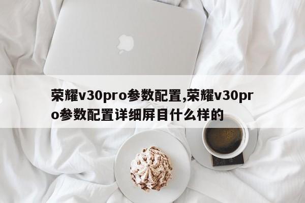 荣耀v30pro参数配置,荣耀v30pro参数配置详细屏目什么样的