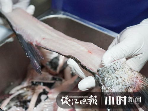 华为手机怎么关闭桌面(华为手机怎么关闭桌面上的圆圈)